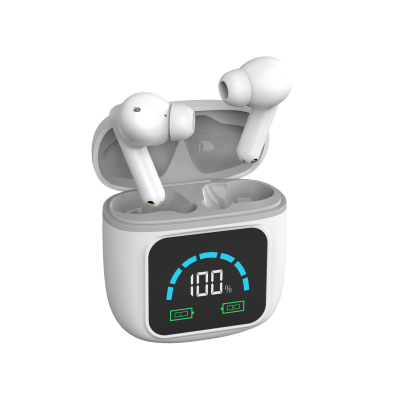 ENNO Ting DJ EN-D33 Digital Hearing aid Intelligent Noise Reduction,Large Screen for Battery Display